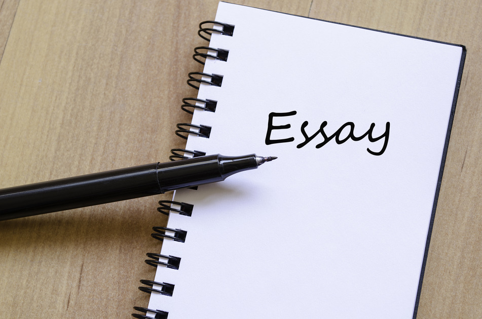 Essay Writing Services